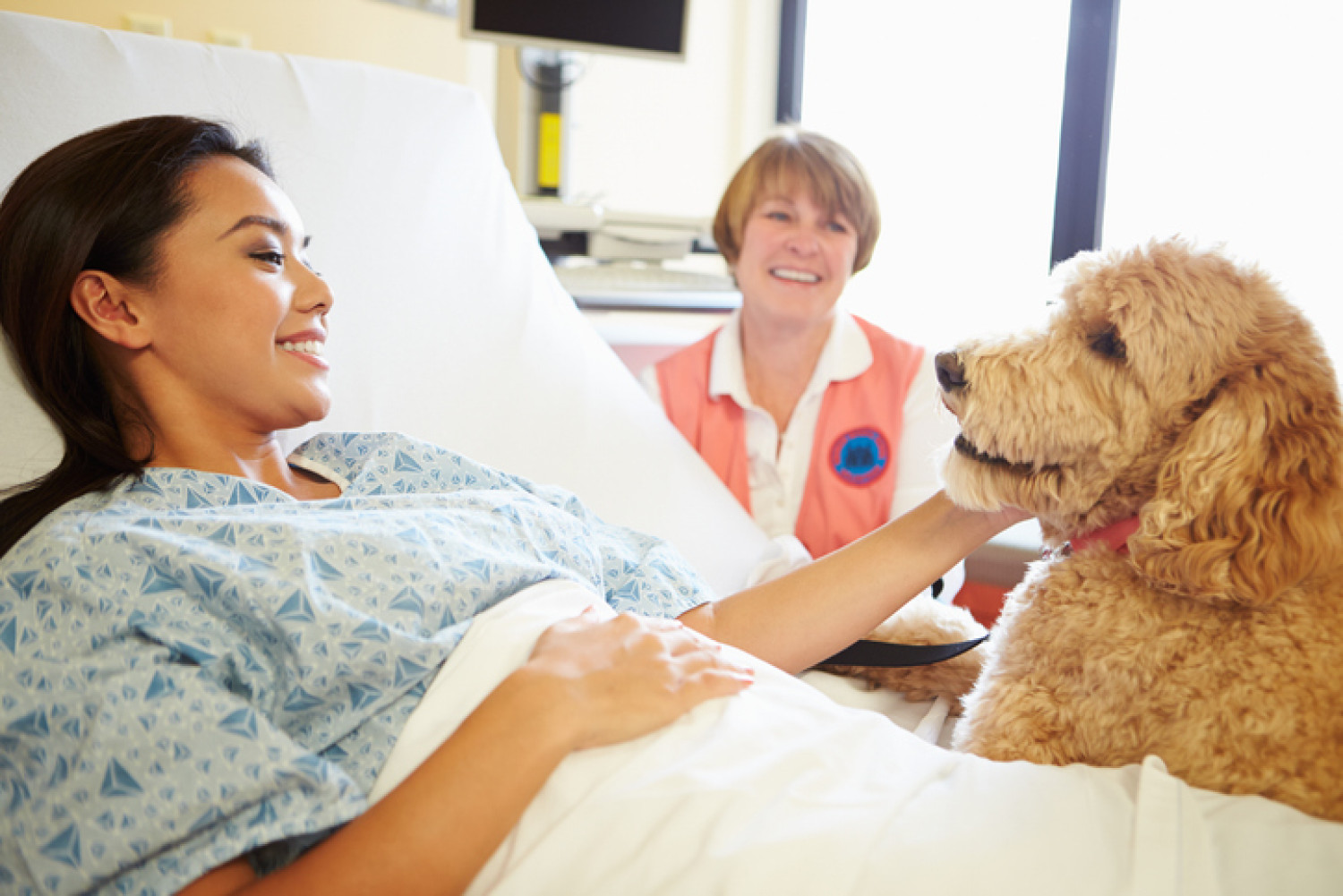 Young woman in a hospital bed smiling at a therapy dog, with an Animal Assisted Therapist