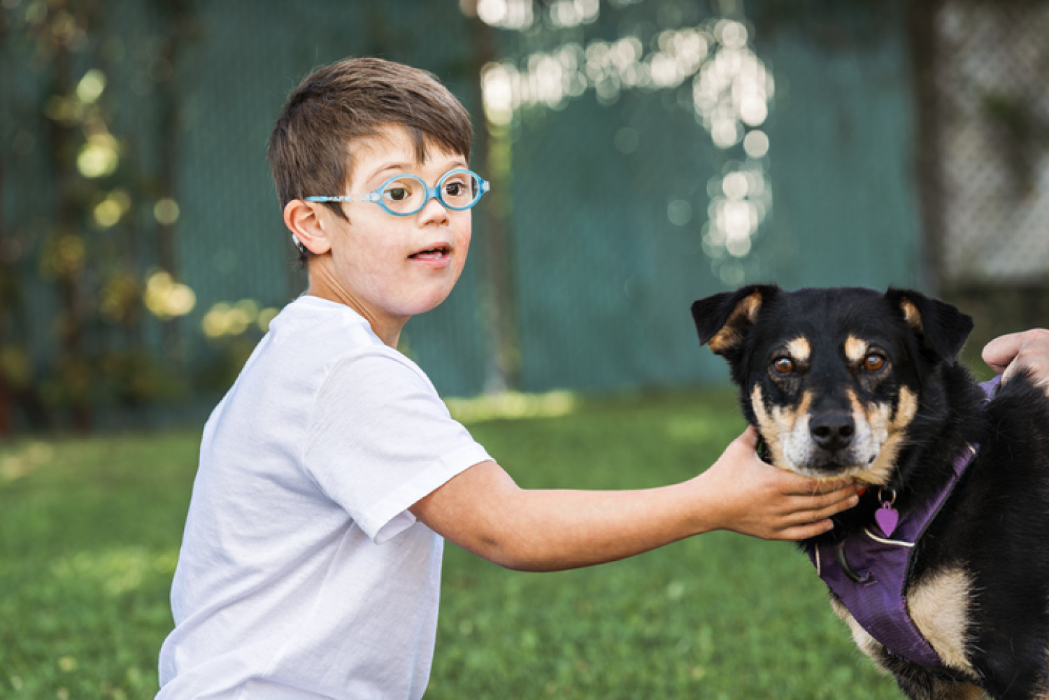 Young boy with downsyndrome glasses petting a black dog in a backyard setting.