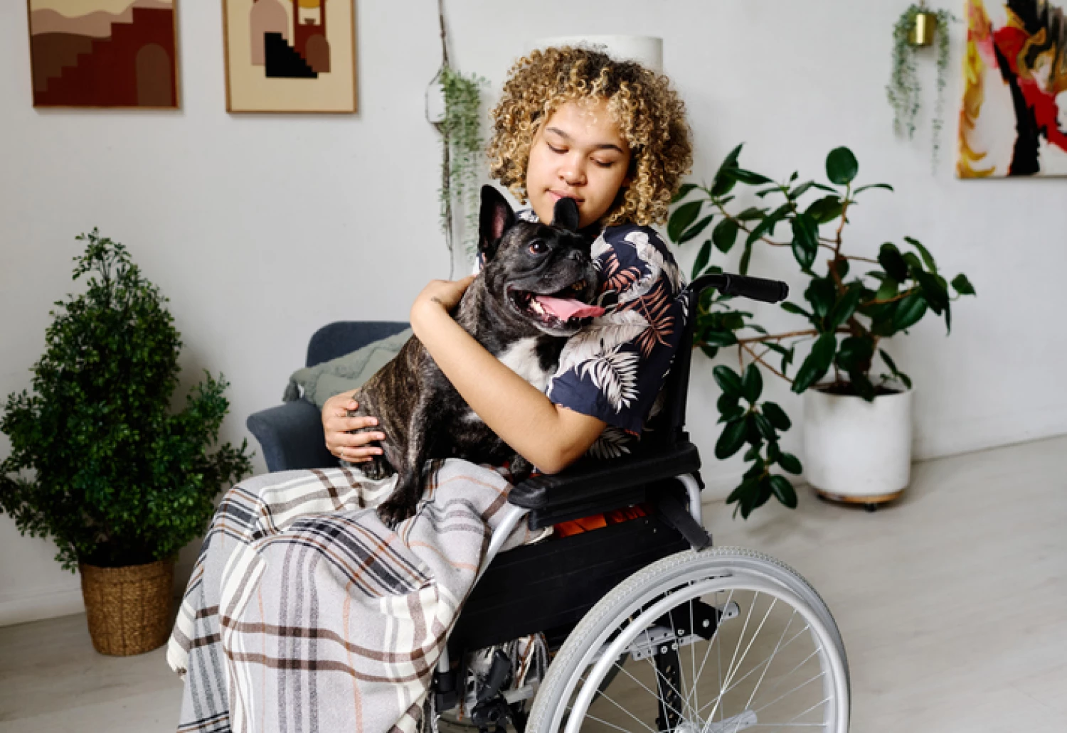 Young woman in a wheelchair hugging a French Bulldog indoors, during a Animal Assisted Therapy session.