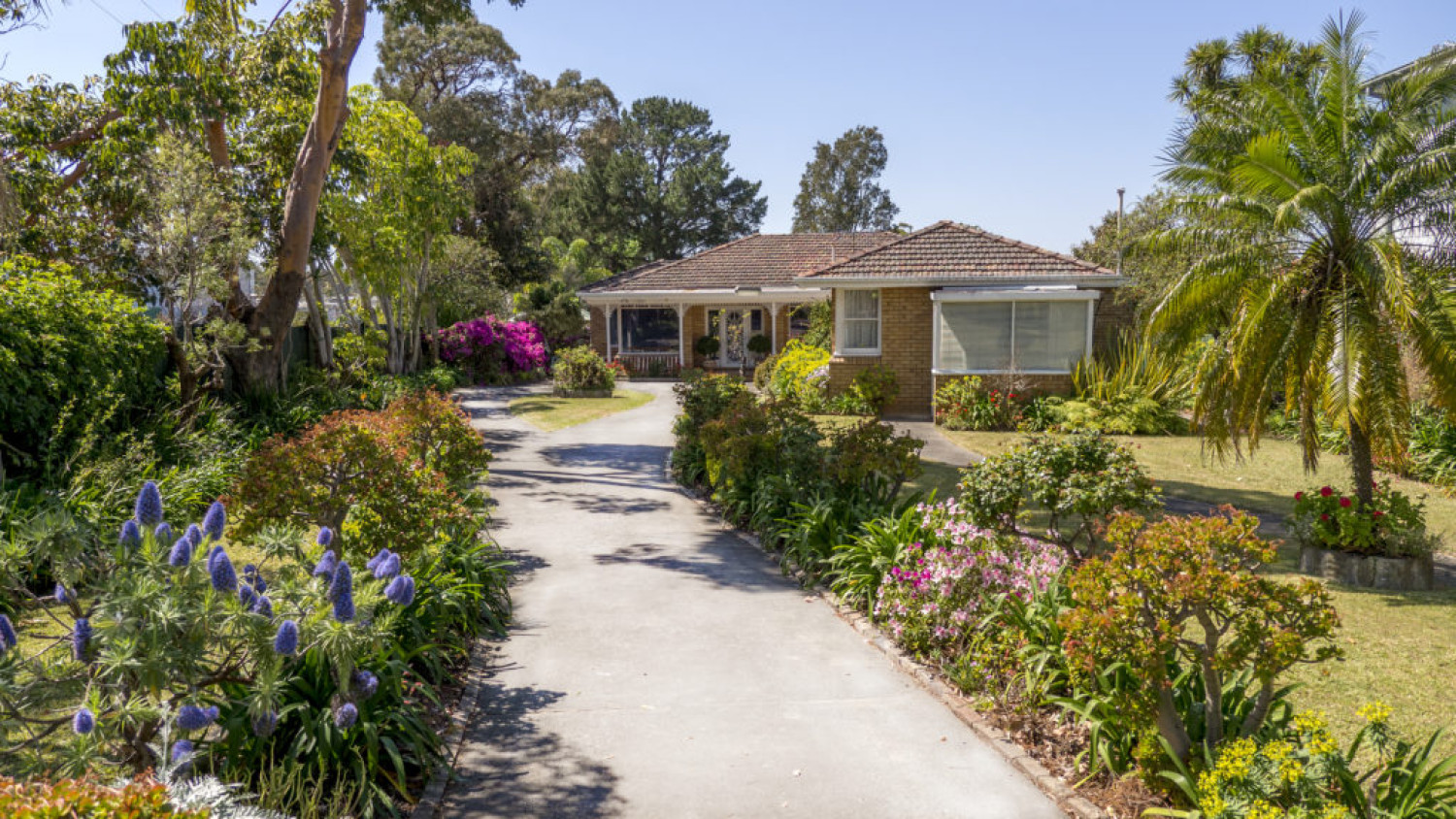 Brick house with beautiful, large front garden. In-home aged care. Focus Care.