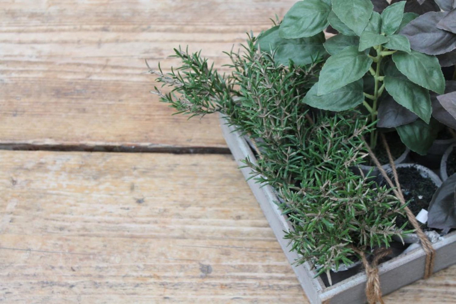 Potted herbs and green plants, including rosemary - Create A Herb Garden tutorial